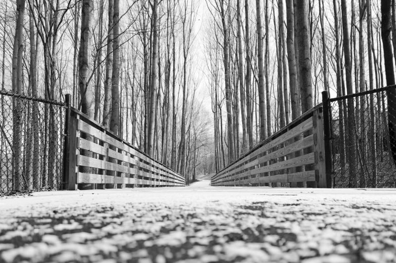 A Cold Path. Germantown, Maryland. By Nate Blank.